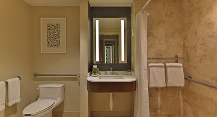 InterContinental AT DORAL MIAMI Room Type - 2 Double Classic Mobility Accessible Roll in Shower InterContinental AT DORAL MIAMI Room Type - 2 Double Classic Mobility Accessible Roll in Shower