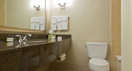 DoubleTree by Hilton Hotel St. Paul Downtown Room Type - 1 KING BED