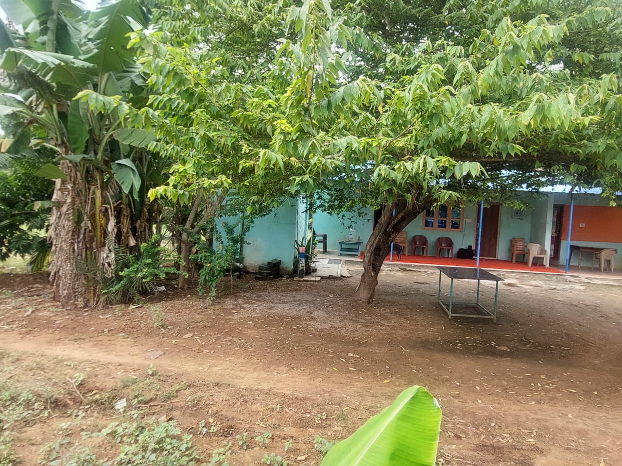 GO2 Village Homestay - Tap to explore photos