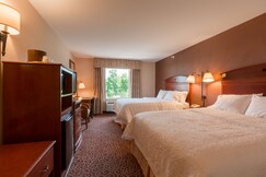 Hampton Inn by Hilton Goshen
