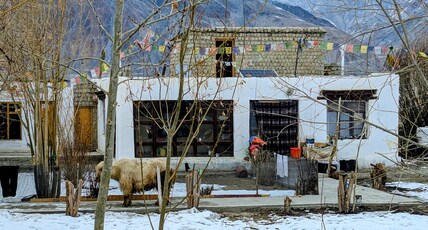 The Yak Heritage Retreat Room Type - Twin bedroom with Mountain view