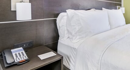 Holiday Inn Express & Suites LONGVIEW NORTH Room Type - 1 King Bed 1 Bedroom Suite
