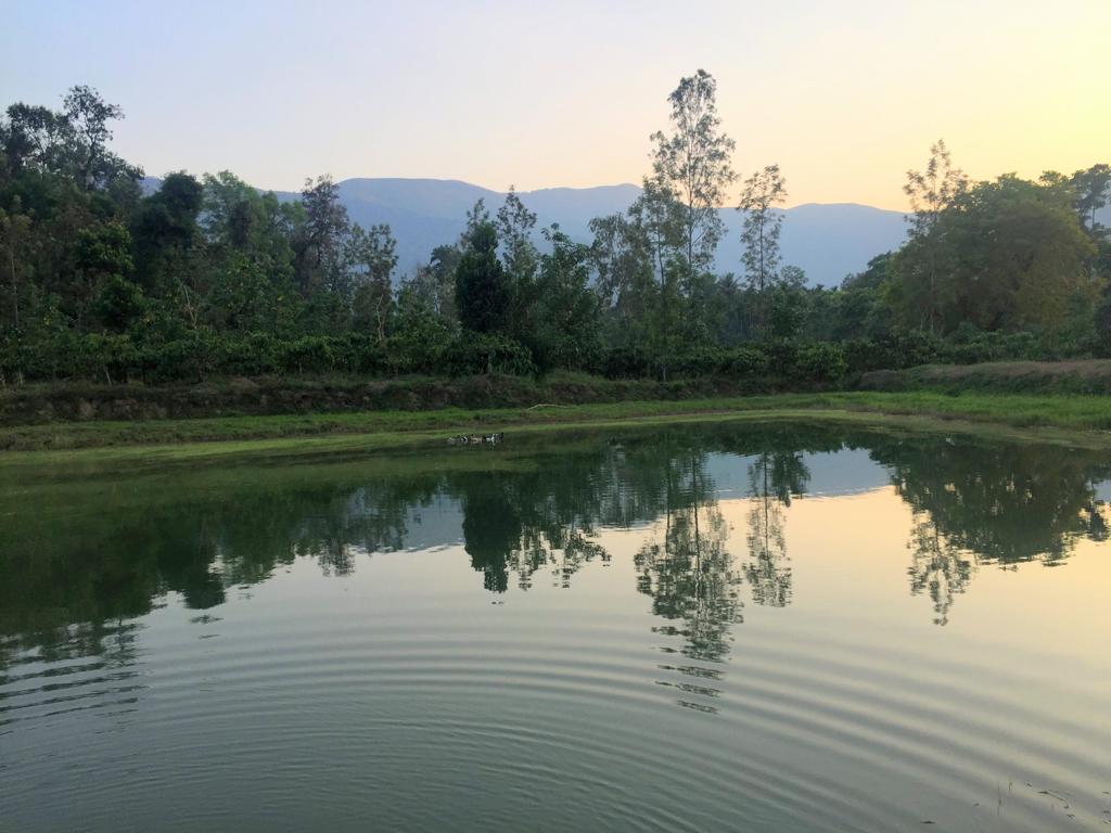 Serene Homestay | Entire 5 BHK Homestay - Tap to explore photos