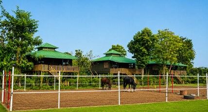 Maa Ashapura Resort Room Type - Luxury Machan Tents With Mountain View