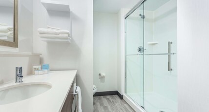 Hampton Inn & Suites Saraland Mobile AL Room Type - 1 KING STUDIO SUITE NS