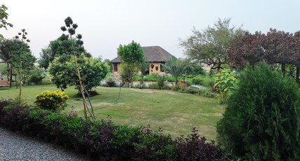 Jungle Heritage Room Type - Brick Cottage