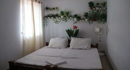 Turtle Island - Ayurveda Backwater Stay, Munroe Island Room Type - Budget Double Room W Bathroom