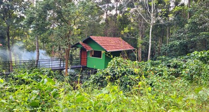 VMJ Wild Stay Room Type - Wild Tree Hut