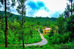 Palm Resort Gudalur