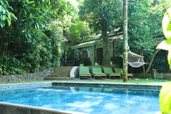 Ceylon Olive Galle