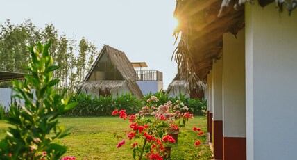 The Orchard Farm stay Cottage 3 Room Type - The Orchard Farm stay Cottage 3
