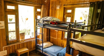 The Blue Sheep Hostel Room Type - 4 Bed Female Dorm