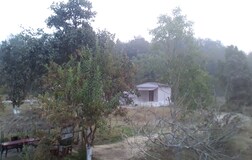 Outdoors