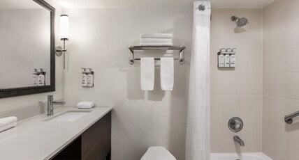Holiday Inn Miami Beach - Oceanfront, an IHG Hotel Room Type - Standard Room