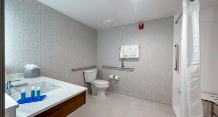 Holiday Inn Express & Suites - Staunton Room Type - 1 King Bed Suite Mobil Access Roll Shwr