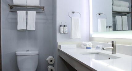Holiday Inn Express & Suites Ciudad Obregon Room Type - Standard Room