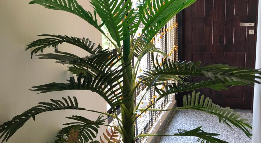 Da Blanche - Tap to explore photos