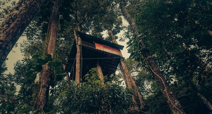 Ela Ecoland Nature Retreat  Room Type - Tree House