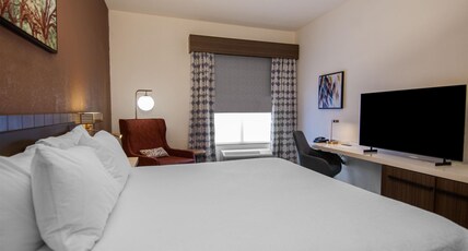 Hilton Garden Inn Hattiesburg Room Type - 1KNG 1 BDRM MOB HR ACC TUB