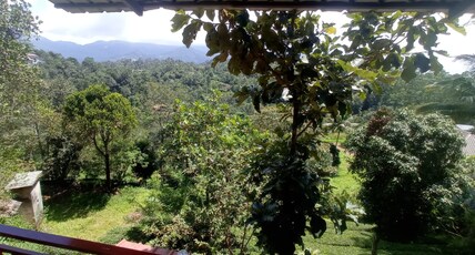 Monte Sereno Room Type - budget room with tea plantation view Monte Sereno Room Type - budget room with tea plantation view