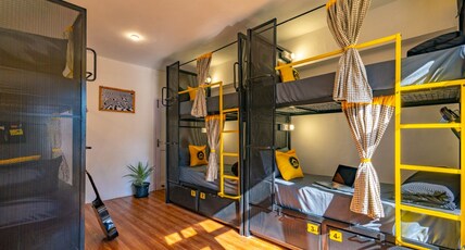 The Hosteller Narkanda Room Type - Bed in 6 Bed Mixed Dormitory