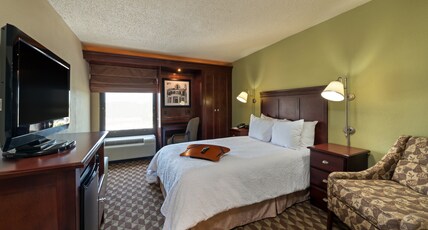 Hampton Inn I-10 & College Drive Room Type - 1 DBL ACCESSIBLE W TUB NS