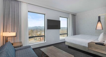 Embassy Suites by Hilton Asheville Downtown Room Type - 1 KING BED ONE ROOM SUITE