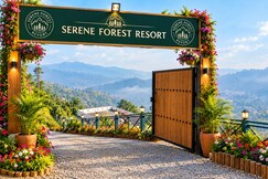 SERENE FOREST RESORT