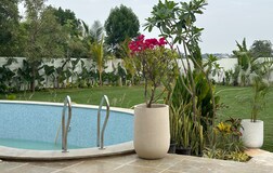 Swimming Pool 1