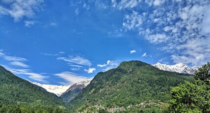 Iris Cottage & Cafe Manali Room Type - Iris Balcony Room - 1