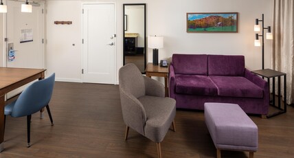 Hampton Inn and Suites Asheville I-26 Room Type - 1KNG STE MIC FRIDG WTBR NS