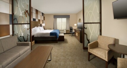 Holiday Inn Express Hotel & Suites Waco South Room Type - 1 King Suite Comm Access