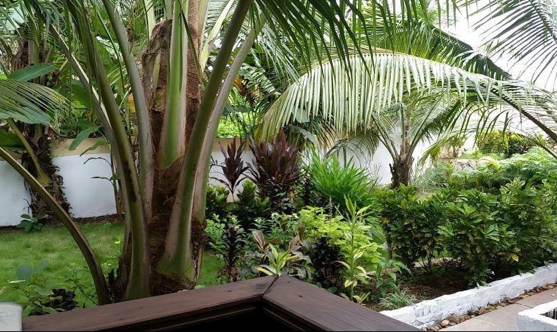 Maitree Resort,Goa - Tap to explore photos