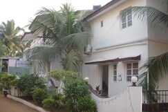 Sugar Plum Macedo Palms