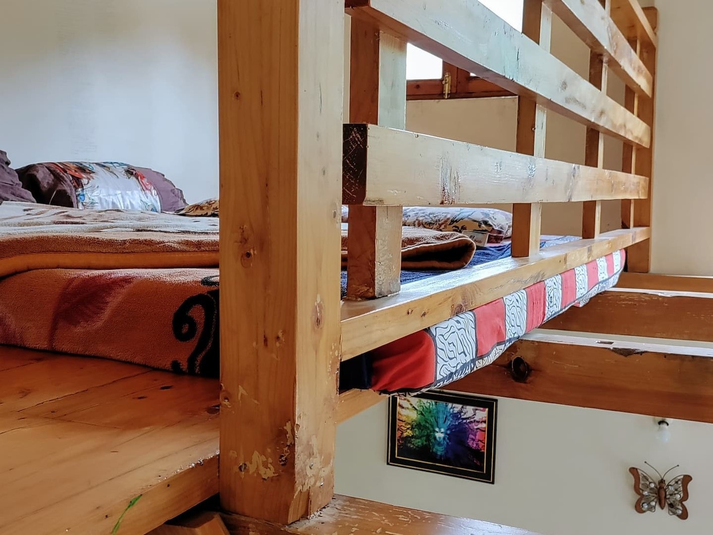 Lazy Bear Homes - Tap to explore photos