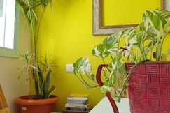 Modern Sunshine 3 BHK Villa