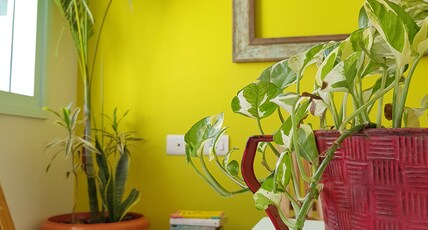 Modern Sunshine 3 BHK Villa Room Type - Modern Sunshine 3 BHK Villa