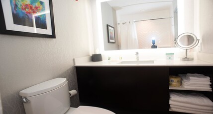 Holiday Inn & Suites - Joliet Southwest Room Type - 2 Queen Beds Standard