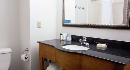 Hampton Inn & Suites Chesapeake-Square Mall Room Type - 1KNG STUDIO SOFABED NOSMOK