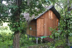 Local Narratives Lotus Jewel Treehouse