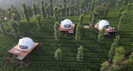 Vythiri Tea Valley | Domes on Tea Plantation Room Type - Dome Suite AC