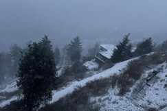 Serenity cove, Mashobra | 2BHK Homestay