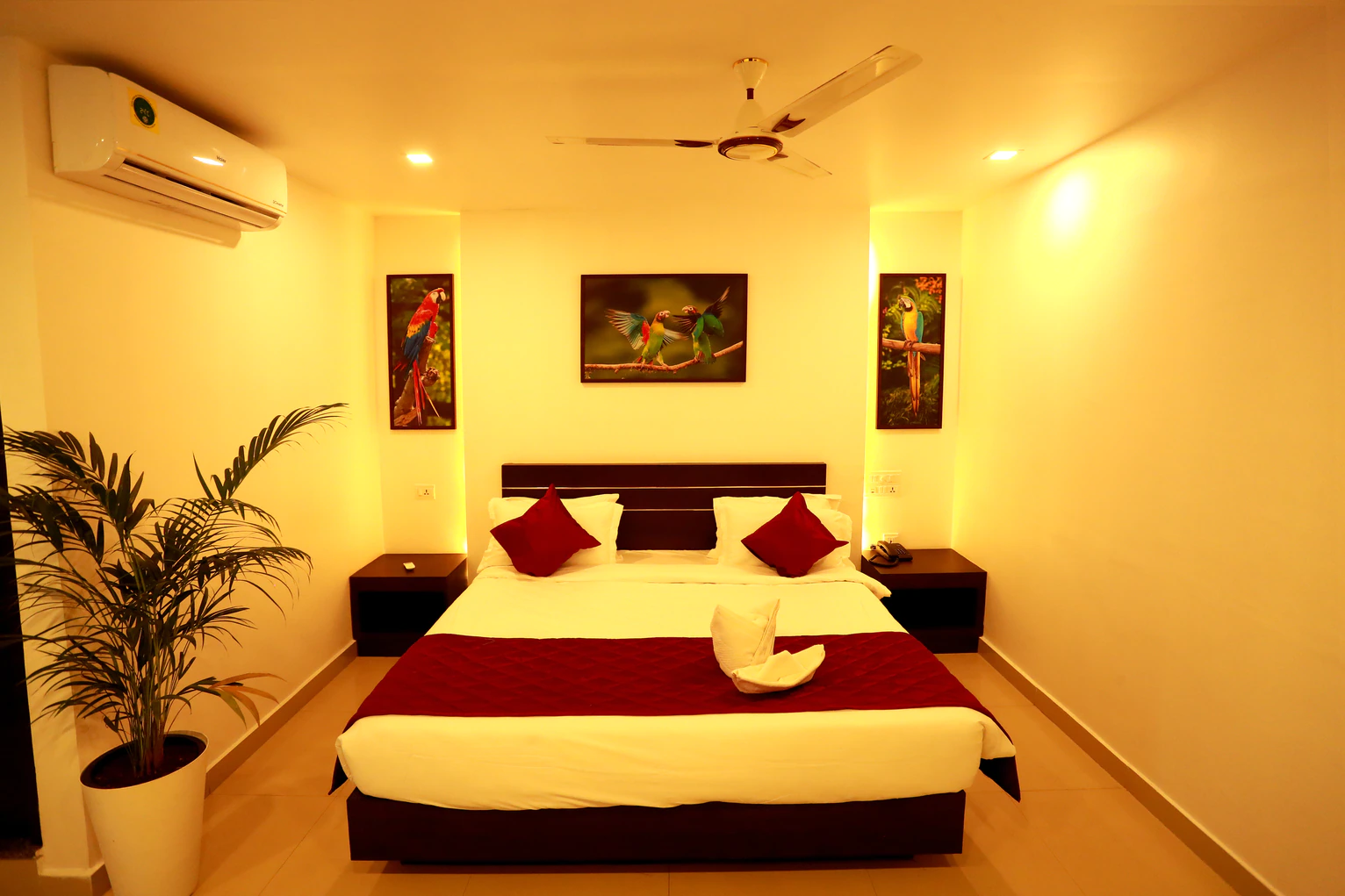Hotel Orfila Inn Room Type - Deluxe Room AC