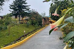 Habba Kadal Kashmiri Heritage Hotel