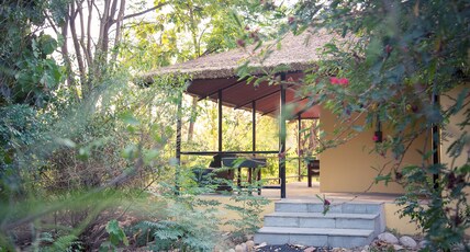 Jim's Jungle Retreat Room Type - Jungle Cottage