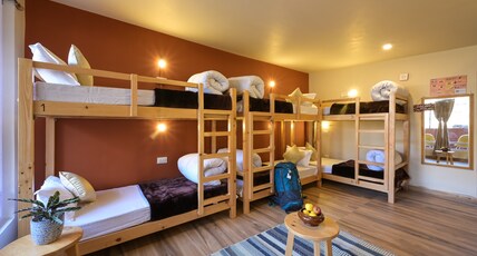 Zostel Dobhi (Manali)  Room Type - A bed in 8 Bed Mixed Dorm