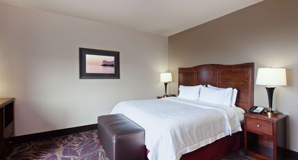 Hampton Inn by Hilton Seattle/Everett Room Type - 1 KING WTR VW W MIC FRG NS