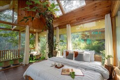 Glass Treehouse Tandi Village