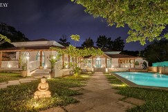 EKOSTAY  - Blue Tiffany