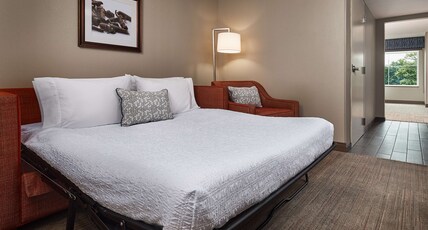 Hampton Inn & Suites by Hilton Hershey Near The Park Room Type - 2QNS STE MIC FRIDG WTBR NS
